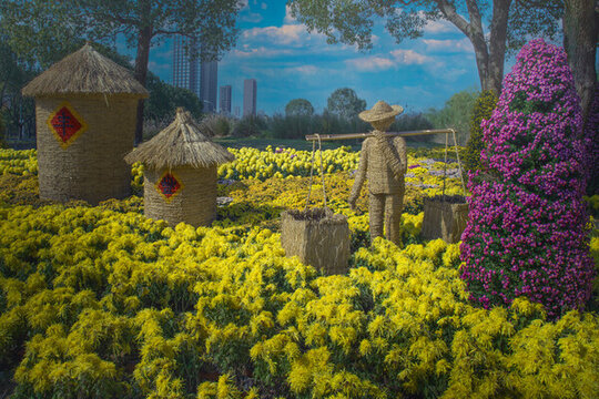 寧波院士公園菊花展