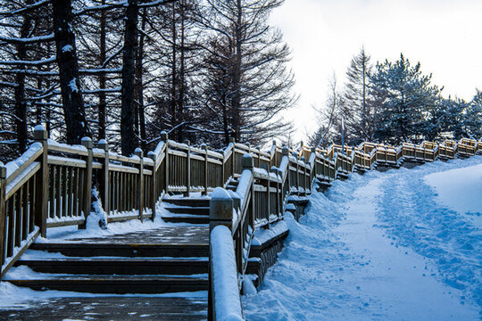白石山景區(qū)木棧道雪景
