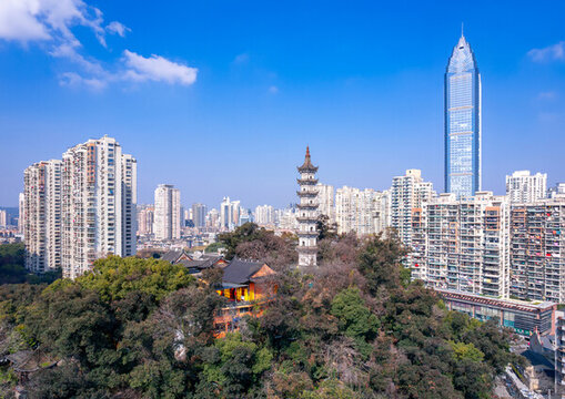 溫州巽山公園與世貿(mào)中心同框風光