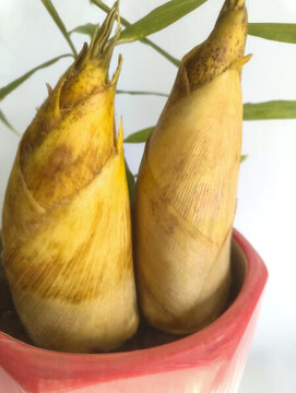 食材冬筍拍攝
