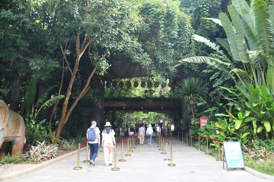 西雙版納原始森林公園