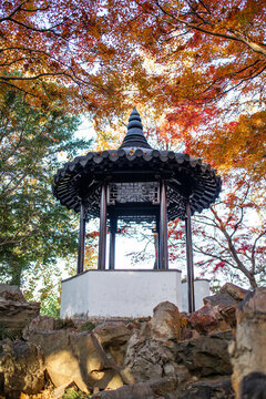 留園秋景
