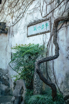 園林小景