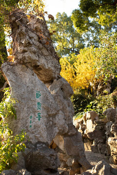 留園假山