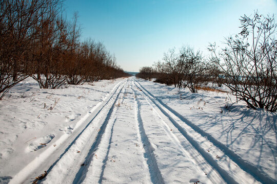 雪中的小路