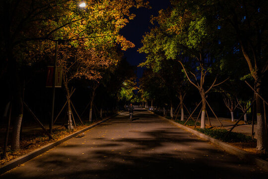 夜間的小路