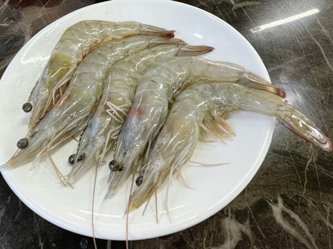 鮮蝦