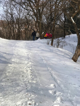 林間雪路