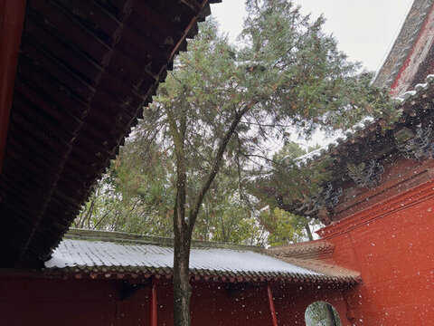 白馬寺雪景