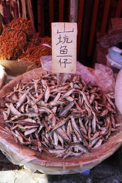 山坑魚仔