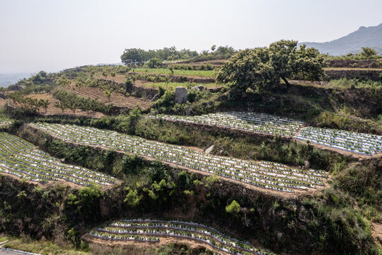 鄉(xiāng)村梯田