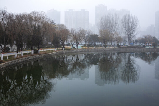 公園大霧