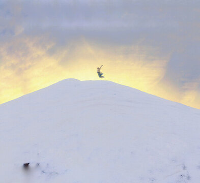 飛躍雪山