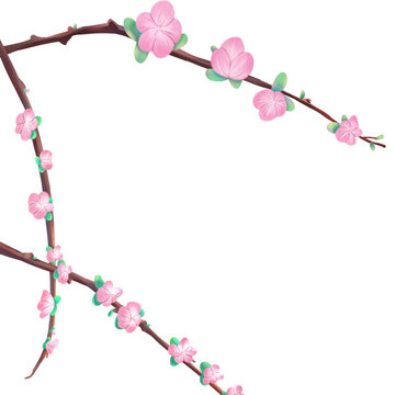 传统节日立春之桃花