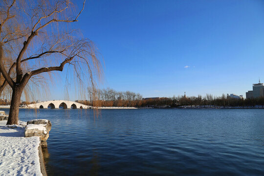 玉淵潭公園的樹和橋之冬季景色