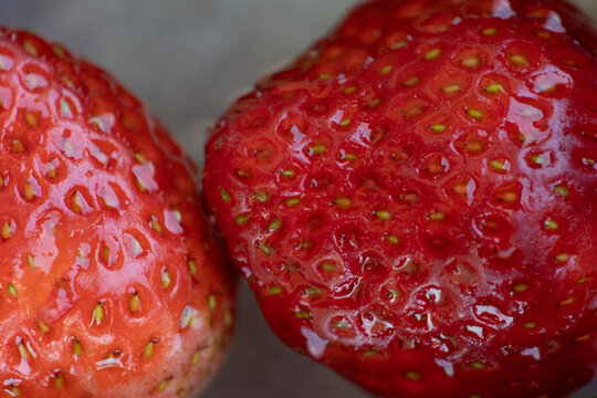 草莓微距