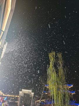 夜晚雪花落下飄雪