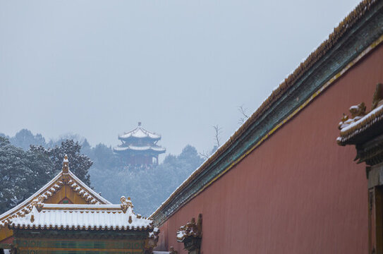 雪景