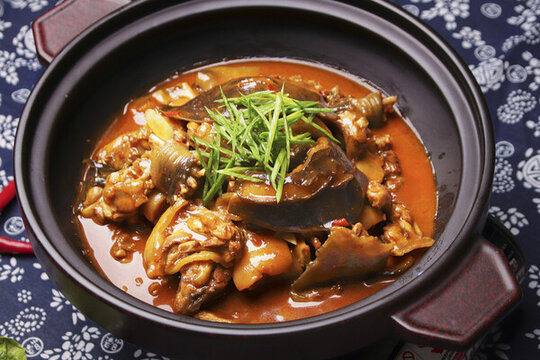 甲魚煲