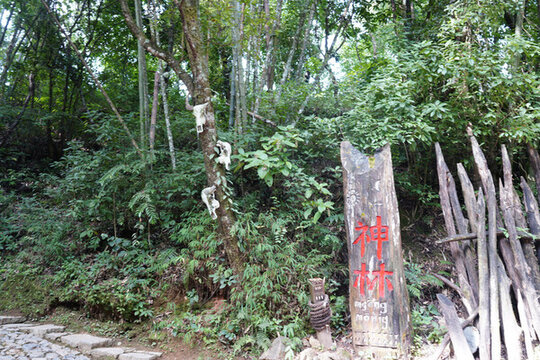 翁丁