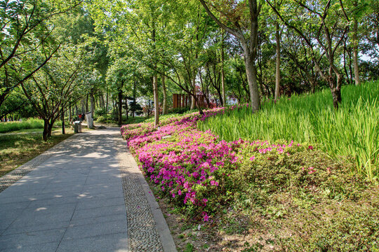 公園綠化