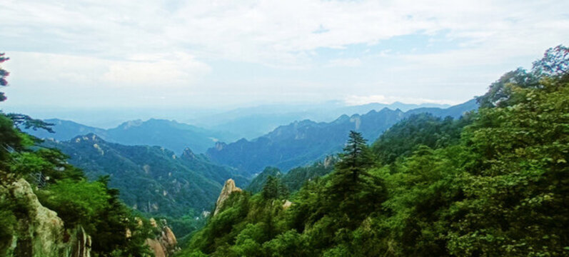 風(fēng)景
