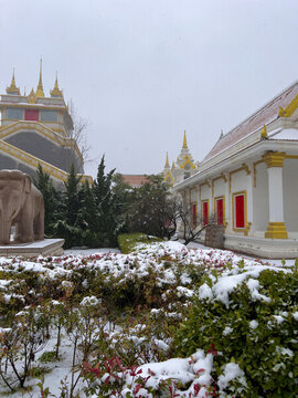 白馬寺雪景