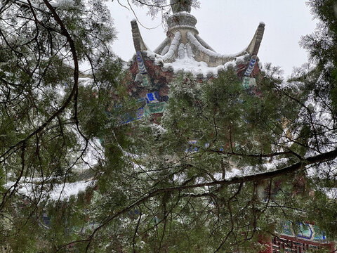 亭院下雪
