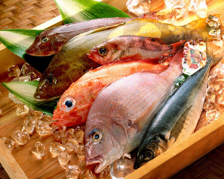 潮汕打冷魚飯