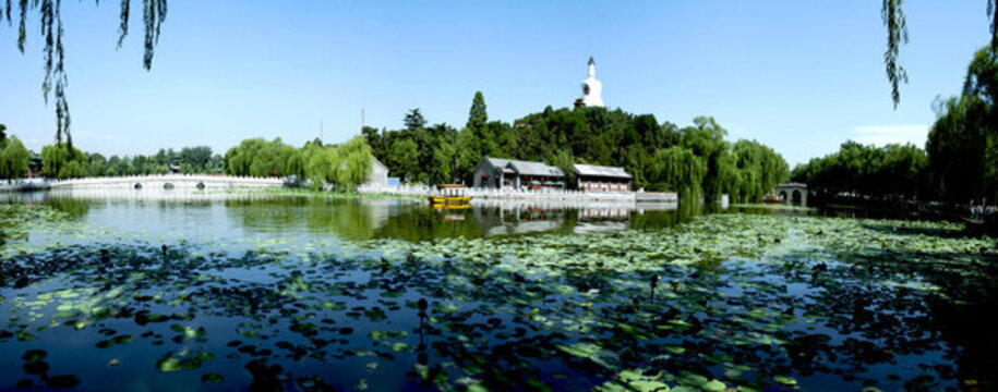 北海公園白塔長橋荷花