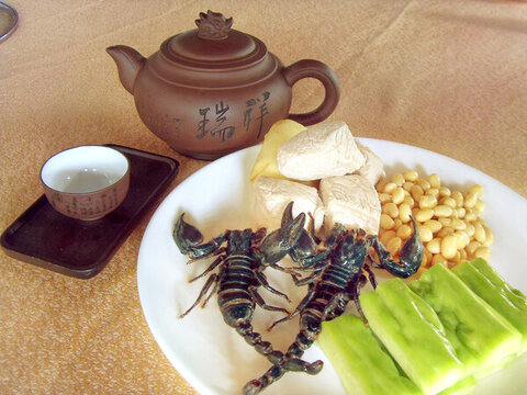 涼瓜黃豆燉蝎子王