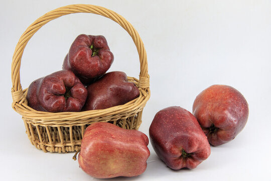 甘肅花牛蘋(píng)果
