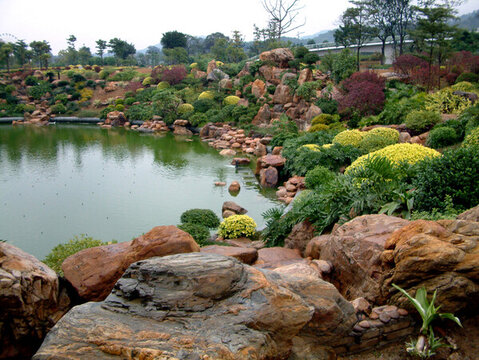 園林景觀魚池工程花園公園綠化