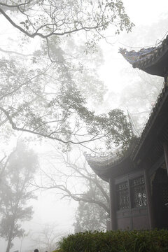 霧中古建筑