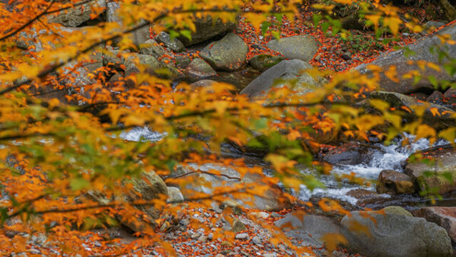 光霧山水