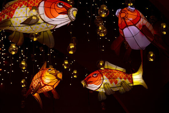 金魚燈籠多條