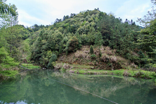 青山綠水