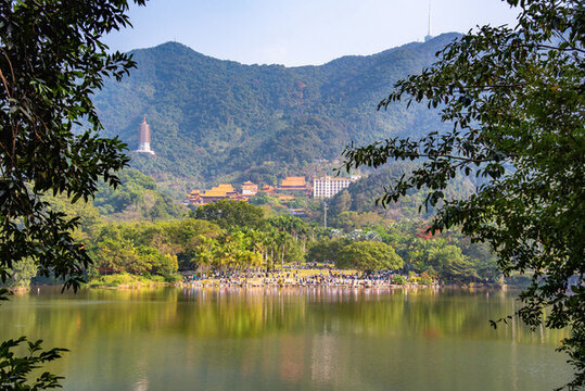 仙湖岸邊