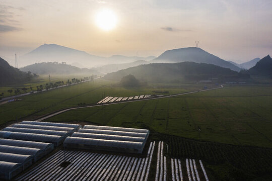 廣西鐘山公安鎮(zhèn)蔬菜基地風光