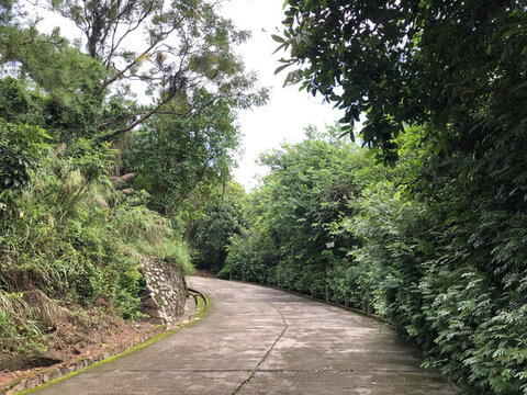 公園小路