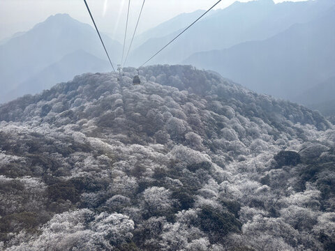 梵凈山風(fēng)光
