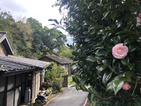 臺灣小景
