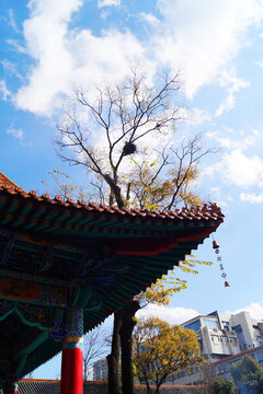 古寺廟屋檐