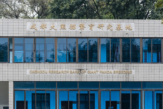 成都熊貓基地大樓