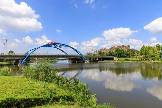 莒南縣雞龍河濕地公園