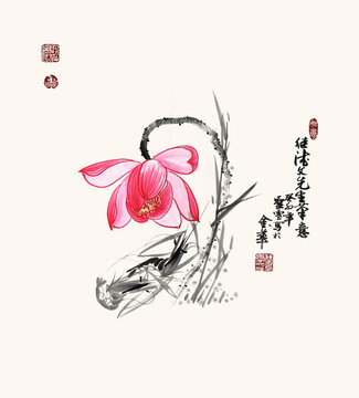 中國(guó)畫水墨蝦