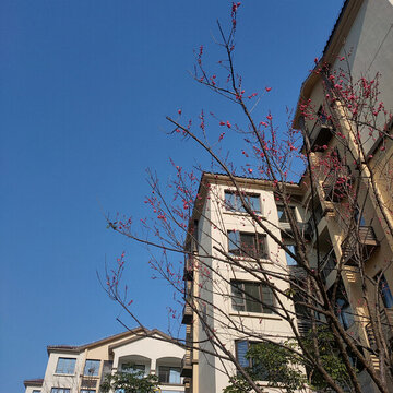 城市的天空