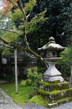 門口石燈