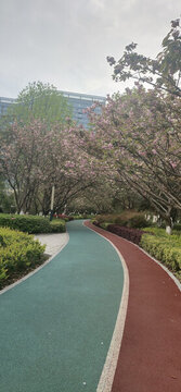 公園小路