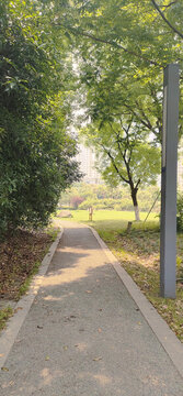 小路